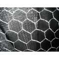 Home Garden Chicken Hexagonal Wire Mesh Netting Fence